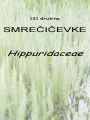 131_00_00b_Smrecicevke_Hippuridaceae_DSC09880.jpg