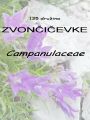 135_00_00c_zvoncicevke_Campanulaceae.jpg
