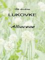 156_00_00c_lukovke_Alliaceae.jpg