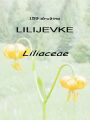 159_00_00c_lilijevke_Liliaceae.jpg