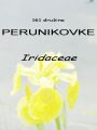 161_00_00a_perunikovke_Iridaceae.jpg