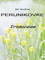 161_00_00b_perunikovke_Iridaceae_DSC09751.jpg