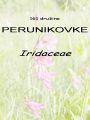 161_00_00c_perunikovke_Iridaceae.jpg