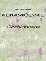 162_00_00a_kukavicevke_Orchidaceae.jpg