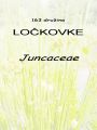 163_00_00b_Lockovke_Juncaceae_DSC09774.jpg