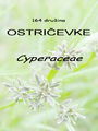 164_00_00b_0stricevke_Cyperaceae.jpg