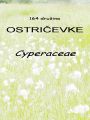 164_00_00c_Ostricevke_Cyperaceae_DSC100024a.jpg