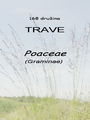 168_00_00b_trave_Poaceae_DSC01860.jpg