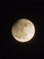 luna_lunin_mrk_delni_2013_04300002a.jpg