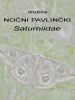 np_a_Nocni_pavlincki_Saturniidae_DSC03845aaa.jpg