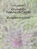 ov_b_ovnici_ivanjscice_Zygaenidae_2009_07090127.jpg