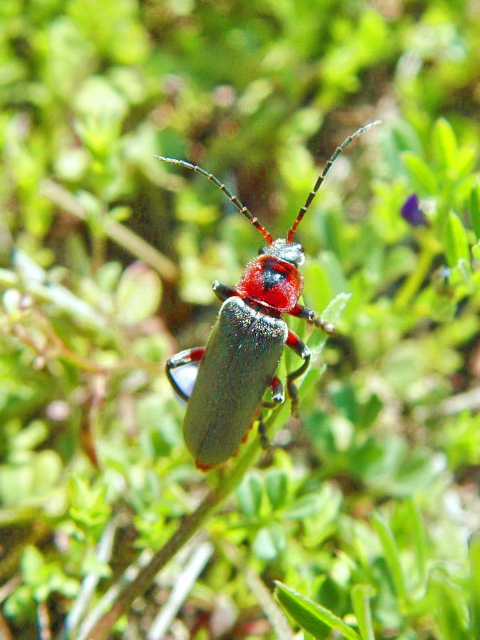 Click to view full size image